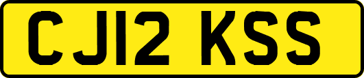 CJ12KSS