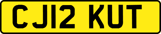CJ12KUT