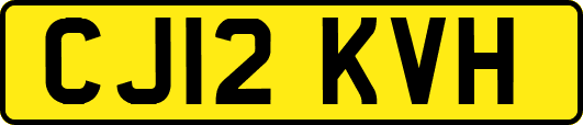CJ12KVH