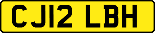 CJ12LBH