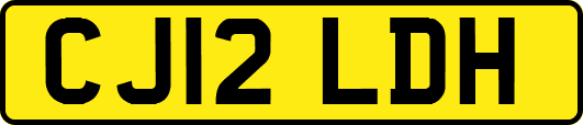CJ12LDH