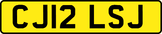 CJ12LSJ