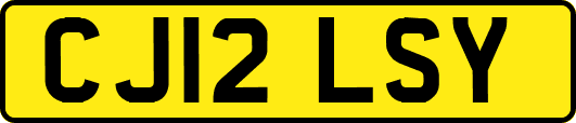 CJ12LSY