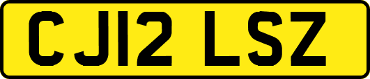 CJ12LSZ