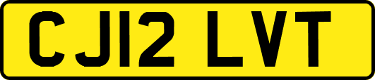 CJ12LVT