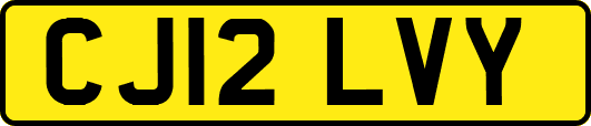 CJ12LVY