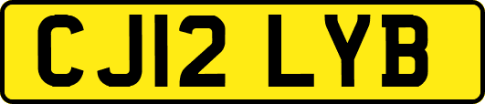 CJ12LYB