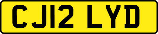 CJ12LYD