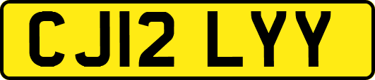 CJ12LYY