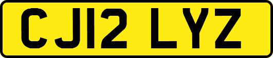 CJ12LYZ