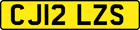 CJ12LZS