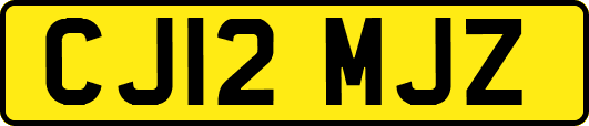 CJ12MJZ