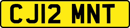 CJ12MNT
