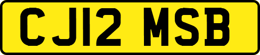 CJ12MSB