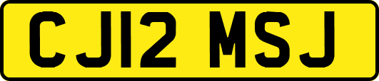 CJ12MSJ