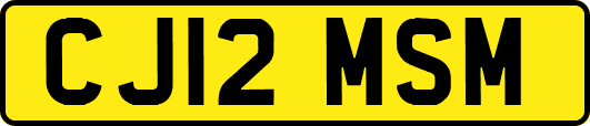 CJ12MSM