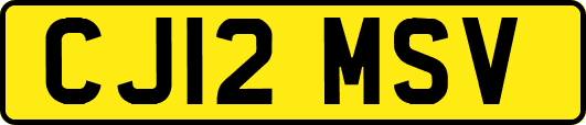 CJ12MSV