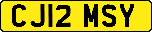 CJ12MSY