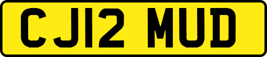 CJ12MUD
