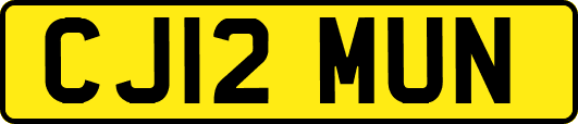 CJ12MUN