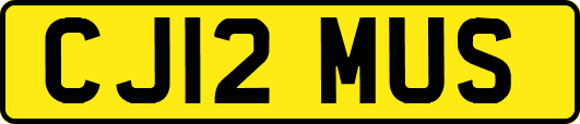 CJ12MUS