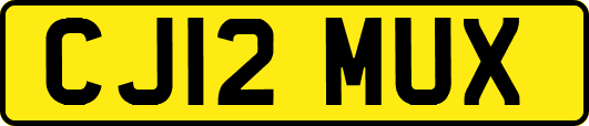 CJ12MUX