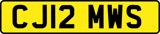 CJ12MWS