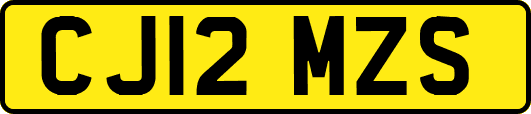 CJ12MZS