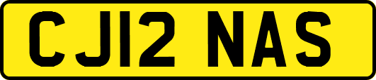 CJ12NAS
