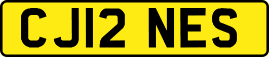 CJ12NES