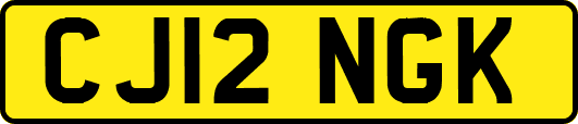 CJ12NGK