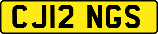 CJ12NGS