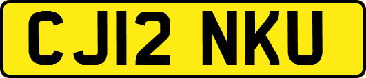 CJ12NKU