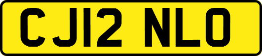 CJ12NLO