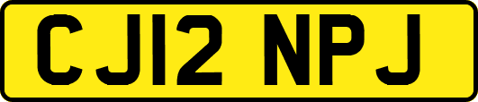 CJ12NPJ