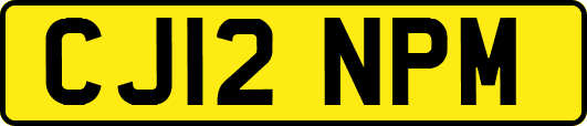 CJ12NPM