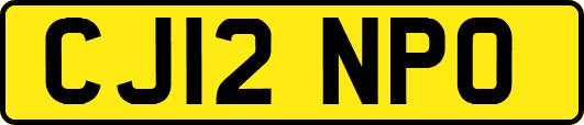 CJ12NPO