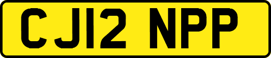 CJ12NPP
