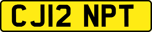 CJ12NPT