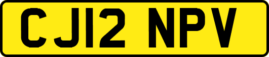 CJ12NPV