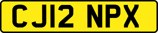 CJ12NPX