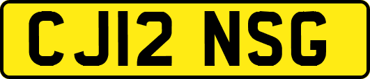 CJ12NSG