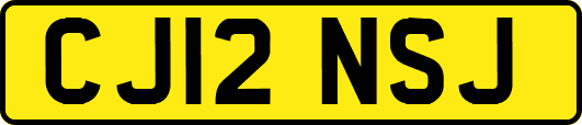 CJ12NSJ