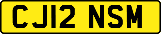 CJ12NSM