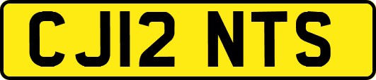 CJ12NTS