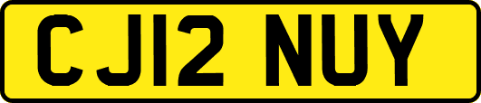 CJ12NUY