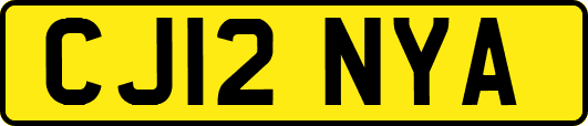 CJ12NYA