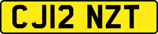 CJ12NZT