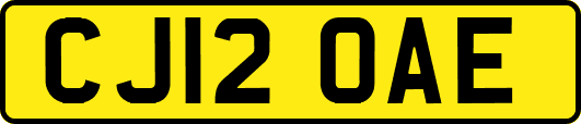 CJ12OAE