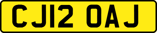 CJ12OAJ